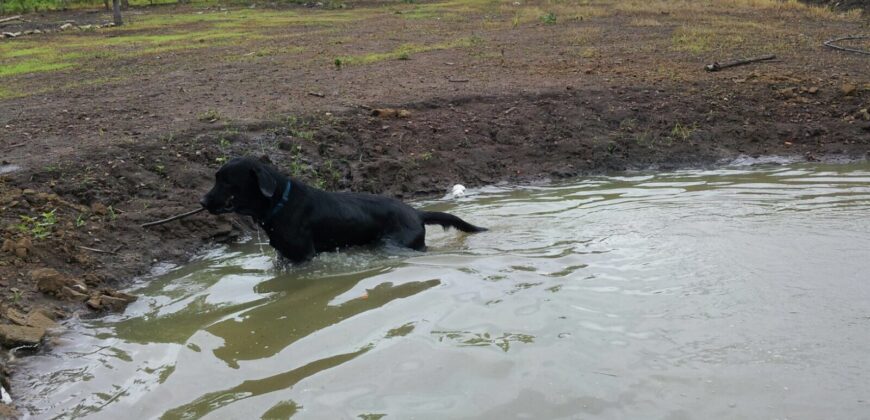 Finca de 84 hectáreas cerca del nuevo Aeropuerto de Daular