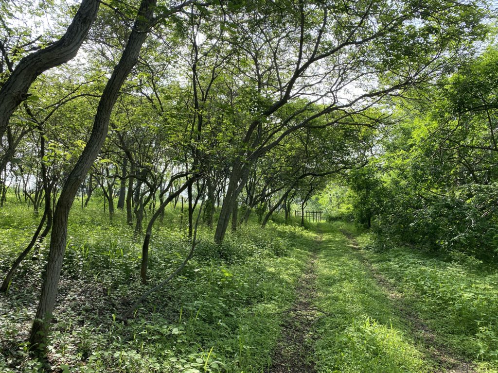 Terreno en venta en Guayaquil, Guayas