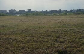 Isla Mocoli Estrategico Terreno Al Rio