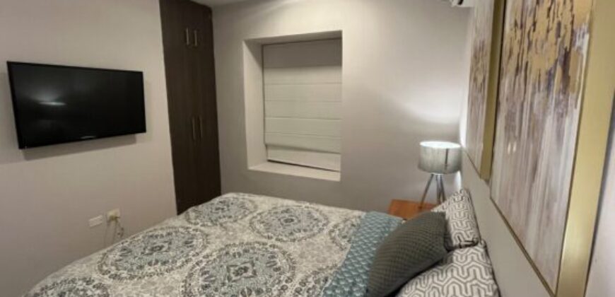 Departamento Amoblado, Automatizado de 2 Pisos, tipo Loft, en los Ceibos