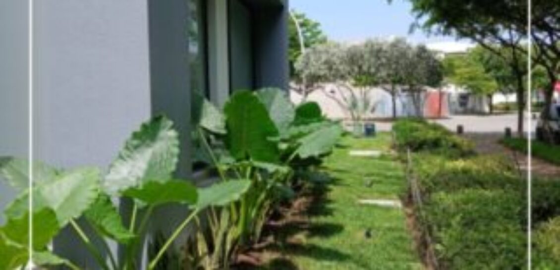 En Venta Casa de Estreno de 4 dormitorios en Blue Bay , Isla Mocoli
