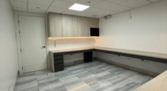 Oficina Semiamoblada en Alquiler Platinum II