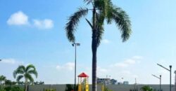 Terreno de 556 m² en Venta en Samborondon, Isla Mocoli Urb. Sotavento