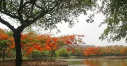 Terreno de 750 m² en Venta en Exclusiva Urbanizacion de Samborondón, La Ribera del Batán