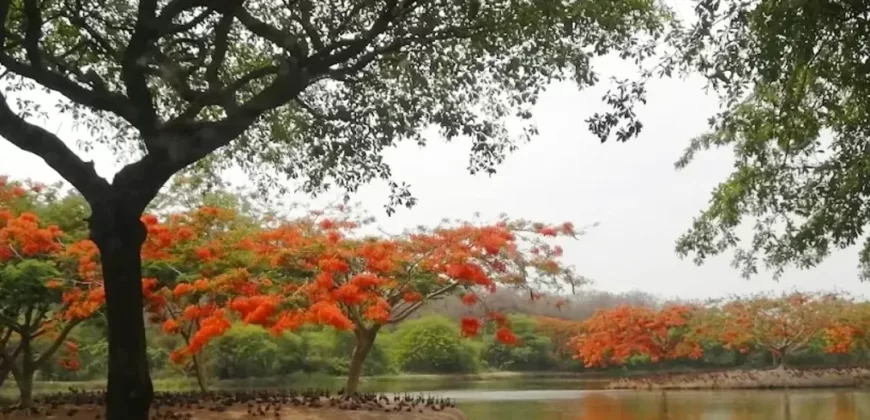 Terreno de 750 m² en Venta en Exclusiva Urbanizacion de Samborondón, La Ribera del Batán