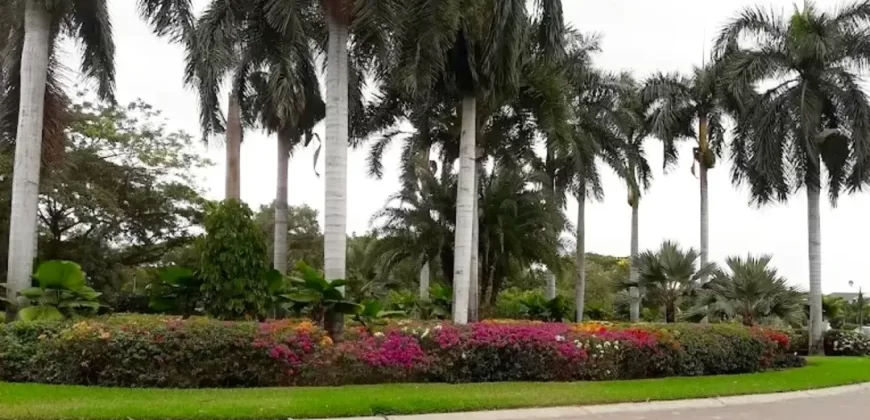 Terreno de 750 m² en Venta en Exclusiva Urbanizacion de Samborondón, La Ribera del Batán