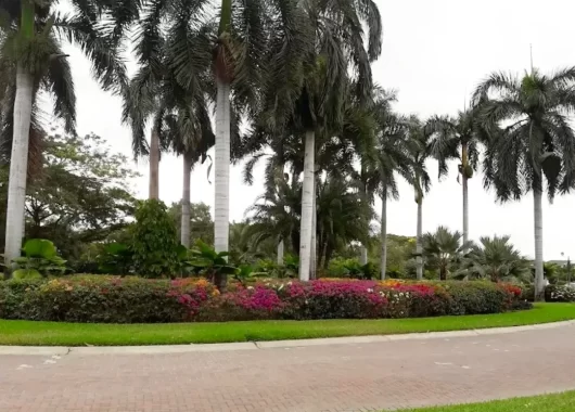 Terreno de 750 m² en Venta en Exclusiva Urbanizacion de Samborondón, La Ribera del Batán