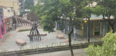 Oficina de 214 m² en Venta en Centro de Guayaquil, Calle Panamá