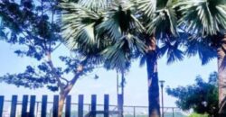 En Venta Departamento de 3 Dorm. en Portón de Las Lomas