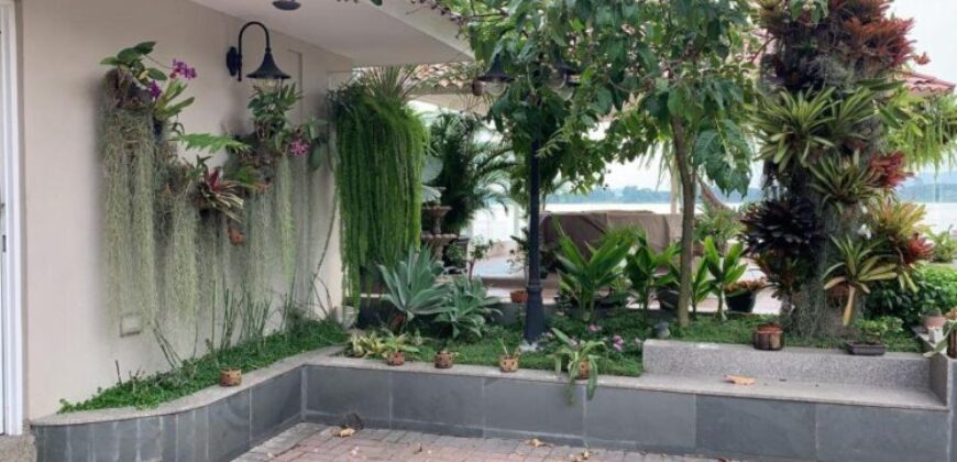 Preciosa Casa de 4 Dorm. en Venta o Alquiler con Hermosa Vista Al Rio en La Puntilla