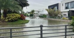 PROYECTO PACIFICA AL LAGO