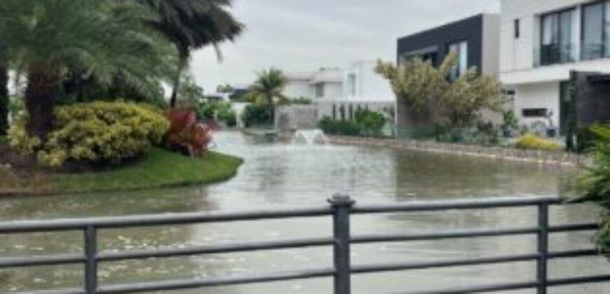 PROYECTO PACIFICA AL LAGO