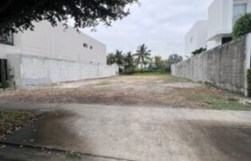PROYECTO PACIFICA AL LAGO